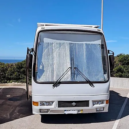 Unique Minibus Tiny